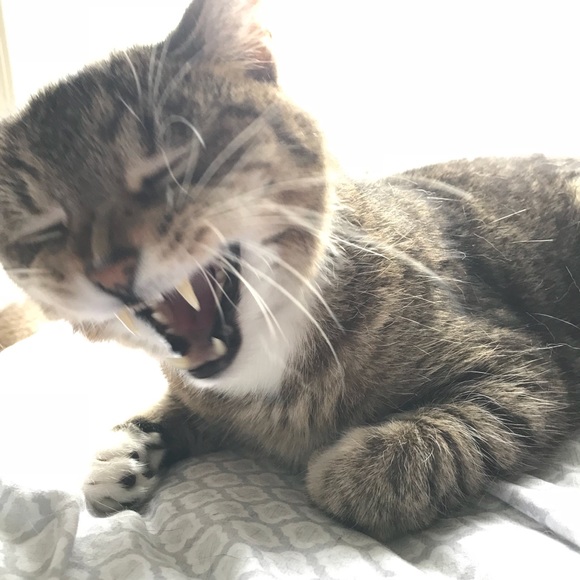 Meet your Posher, Sarah - Picture 1 of 1